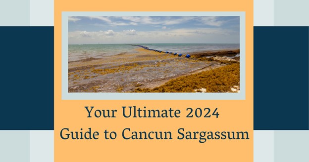 Cancun’s Seaweed Symphony: Your Ultimate 2024 Guide to Sargassum-Free Bliss